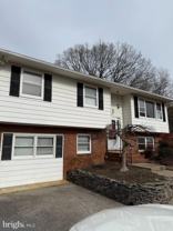 112 Pinecrest Dr - Photo 1 of 1