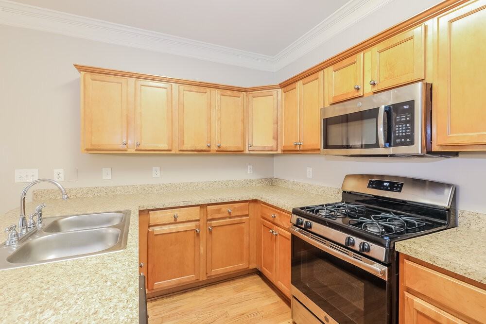 295 Monarch Village Way - Photo 7 of 16