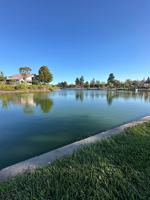featured image of 35246 Cornwall Pl