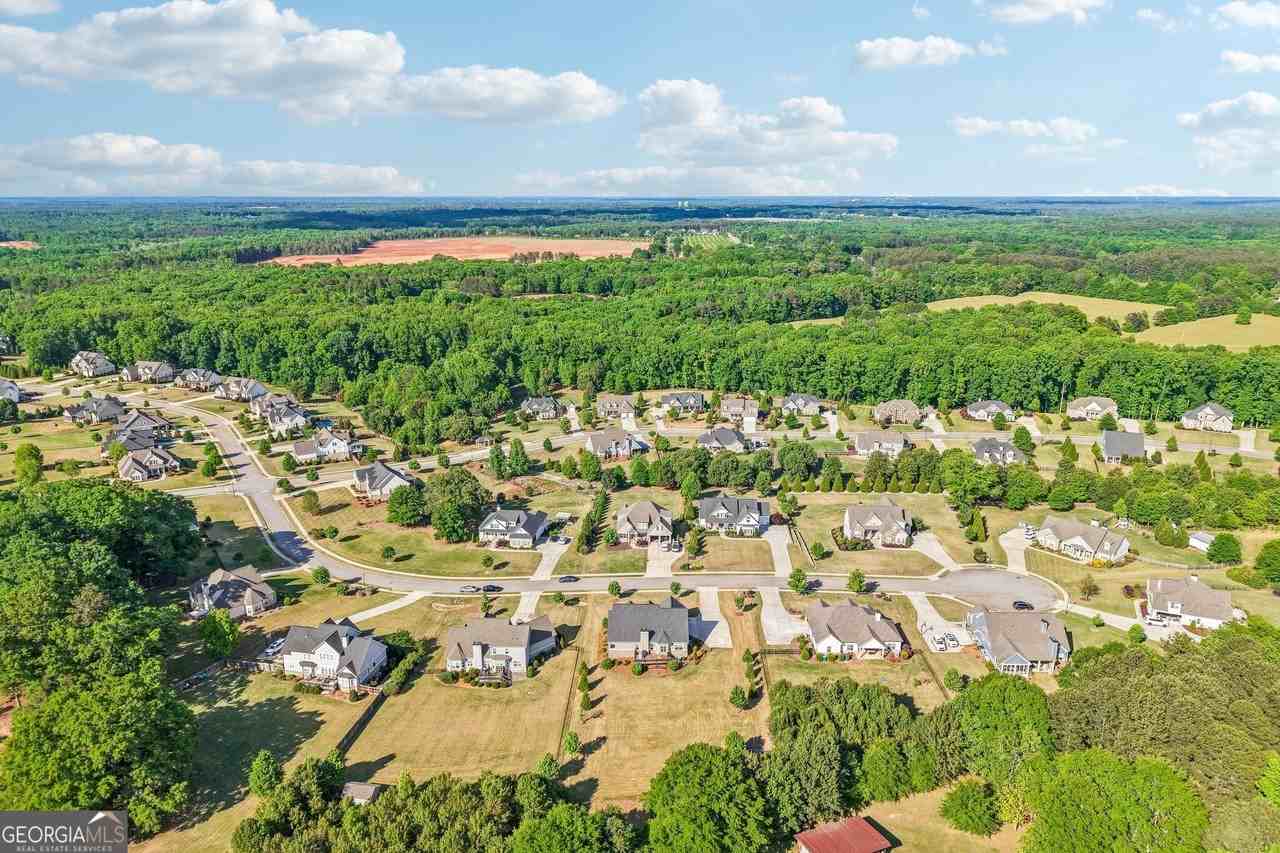 1354 Horseshoe Bend Ln - Photo 6 of 50