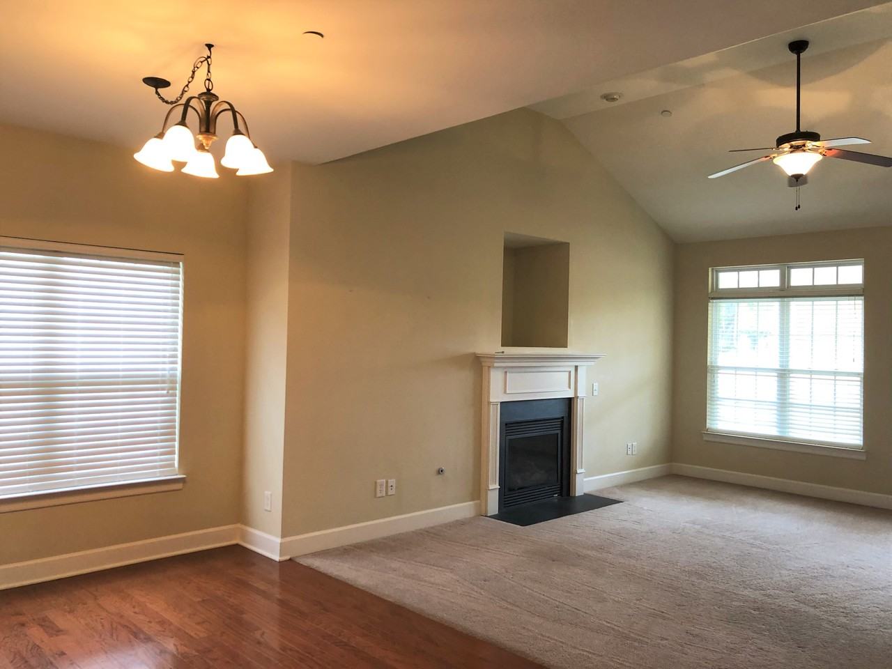247 Dobson Branch Ct #247 - Photo 5 of 27