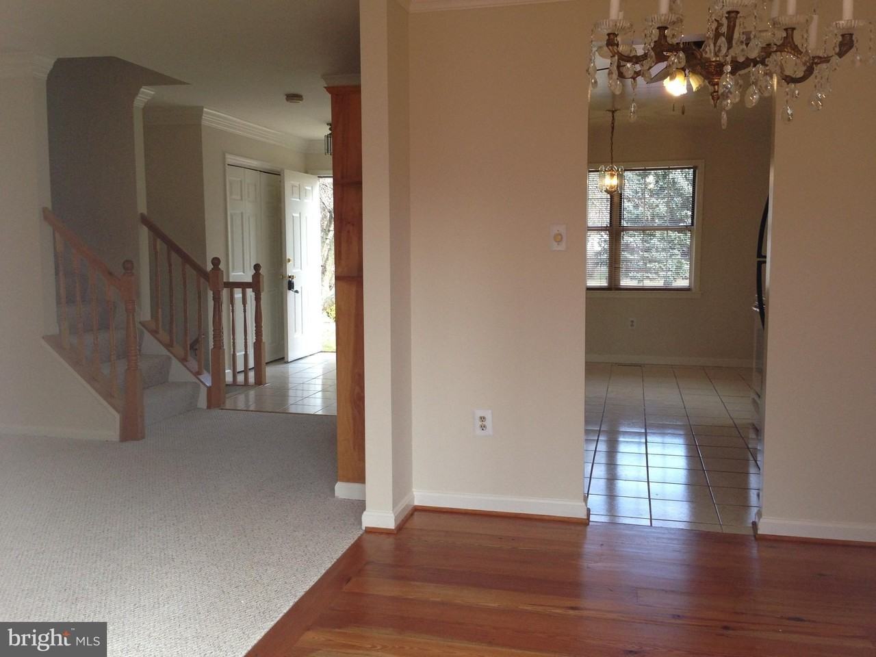 5001 Tarpon Ln - Photo 5 of 12