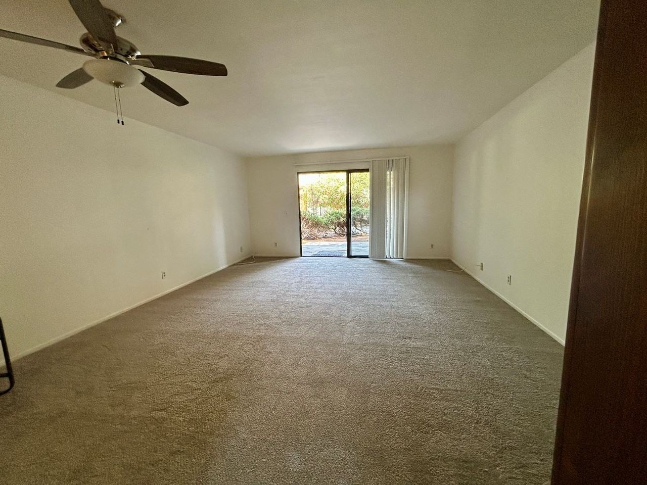 446 Orange Blossom - Photo 4 of 16