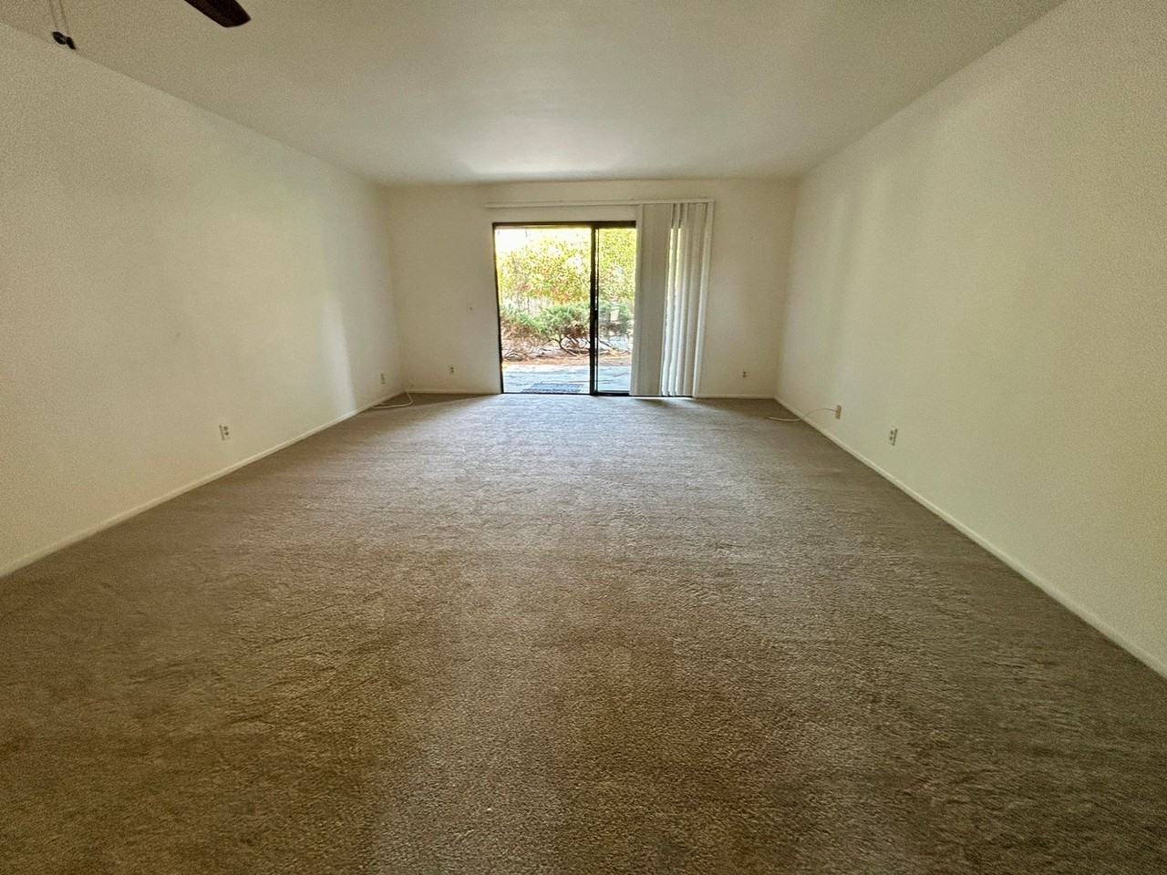 446 Orange Blossom - Photo 5 of 16