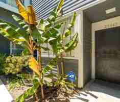 featured image of 25645 Pine Creek Ln