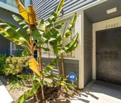 25645 Pine Creek Ln - Photo 1 of 1