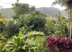 featured image of 3232 Paty Dr