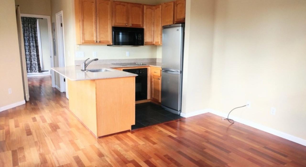 1237 Elder Ave - Photo 3 of 13