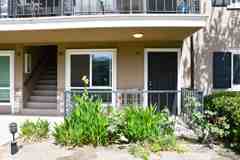 660 S Glassell St #107 - Photo 1 of 1