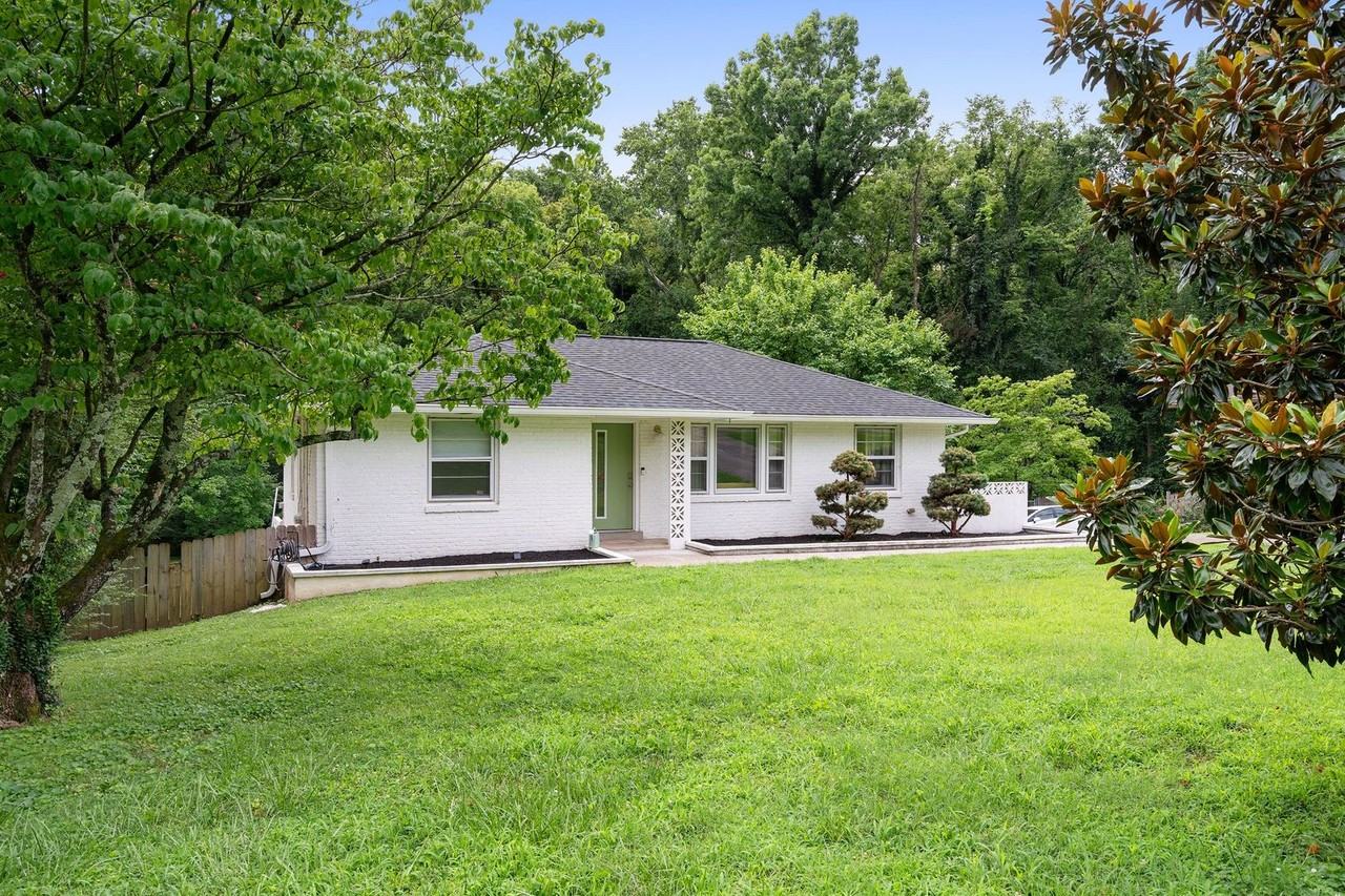3363 Mimosa Dr - Photo 3 of 50