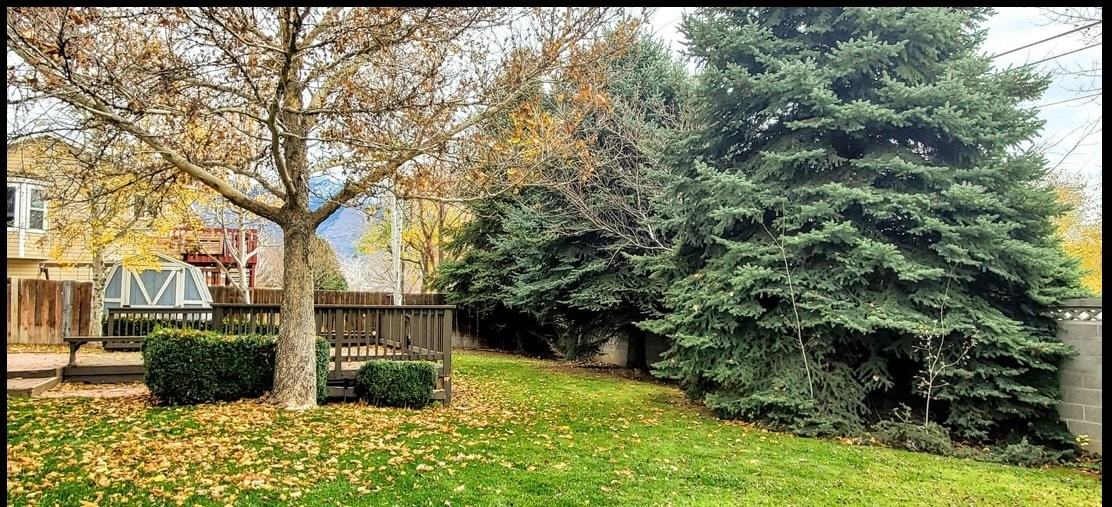 506 E Big Sky Dr - Photo 6 of 6
