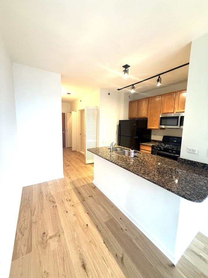 210 S Desplaines St #1006 - Photo 6 of 13