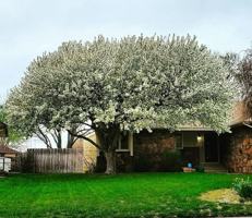 featured image of 3811 N Somerset St #NA