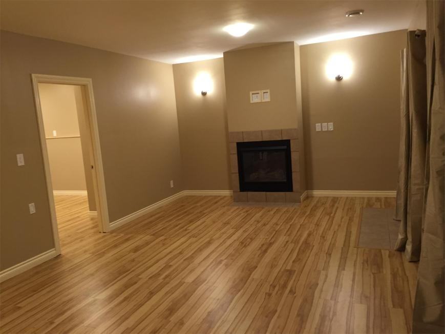 11133-O\'Brien Lake Dr - B (DN) - Photo 4 of 10
