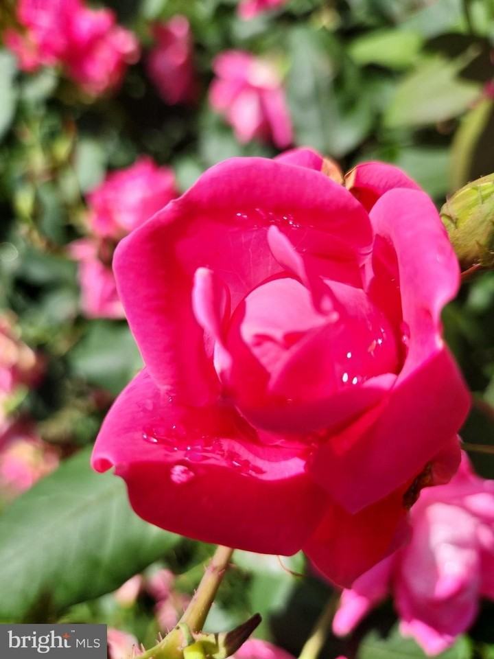 8208 Cagle Rd - Photo 4 of 37