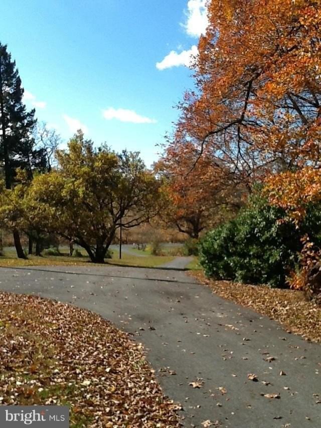 444 Laurel Grove Rd - Photo 6 of 14