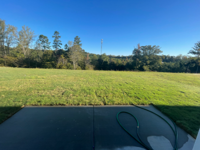 165 Giant Oak Ave - Photo 4 of 16