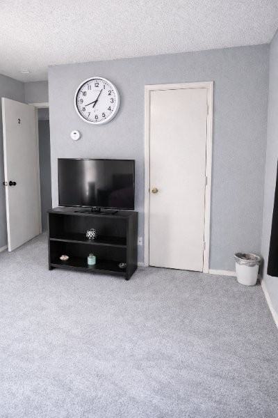 1717 Shady Creek Dr - Photo 2 of 6