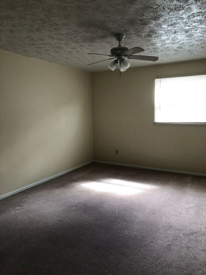 Cortland Court Apartments 293 - Photo 6 of 28