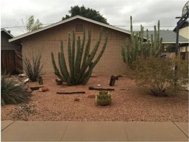 1434 E Del Rio Dr #NA - Photo 1 of 1