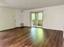 featured image of 49 Orphanage Rd