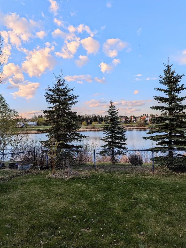 1123 72 St Sw - Photo 3 of 50