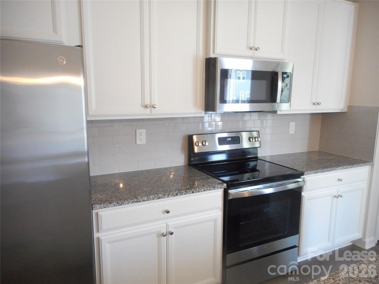 2105 Autumn Olive Ln - Photo 6 of 28