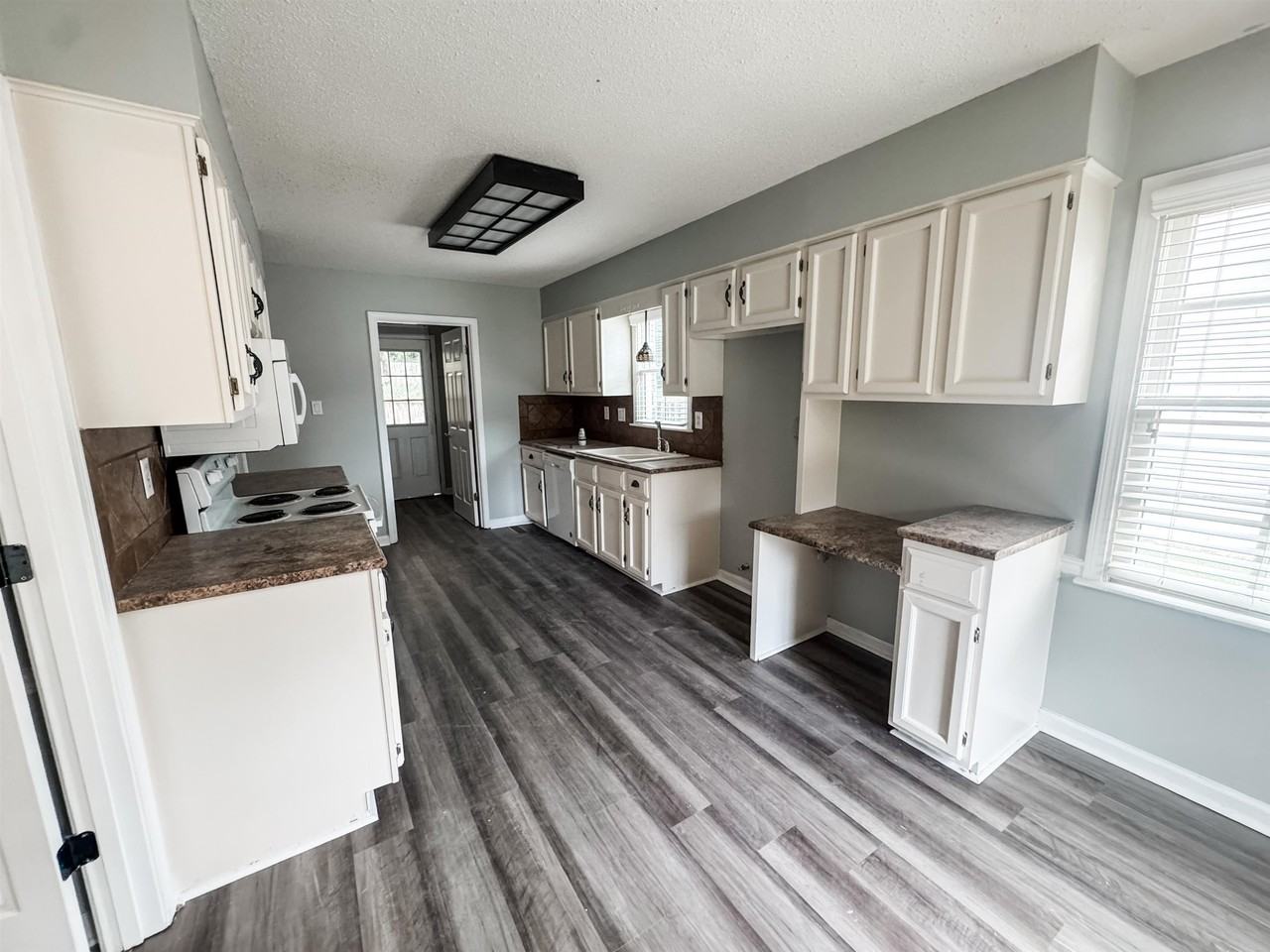 347 Dove Valley Rd - Photo 2 of 13