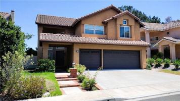 featured image of 15 Tanglewood