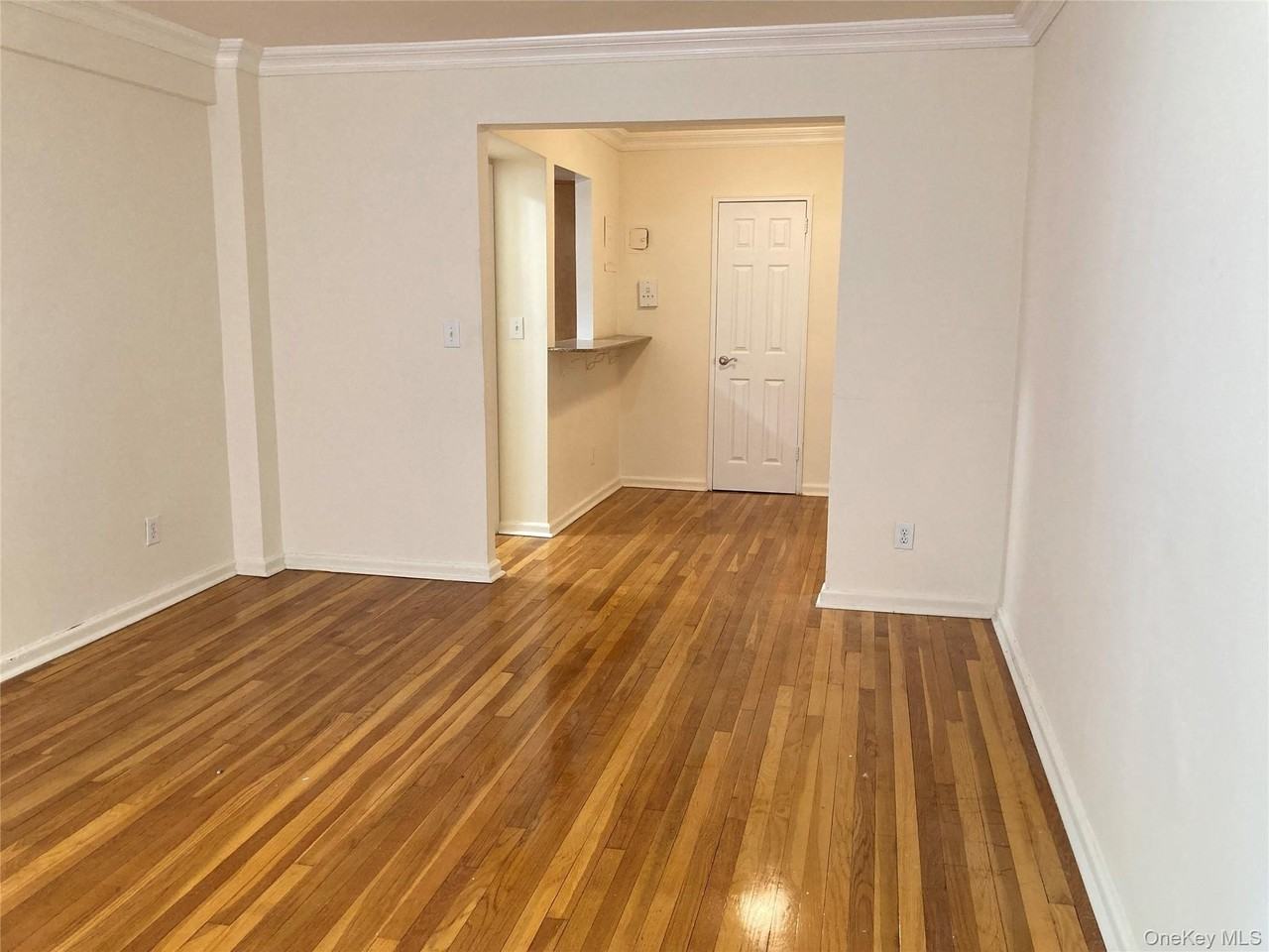 50 S Middle Neck Rd #1C - Photo 2 of 15