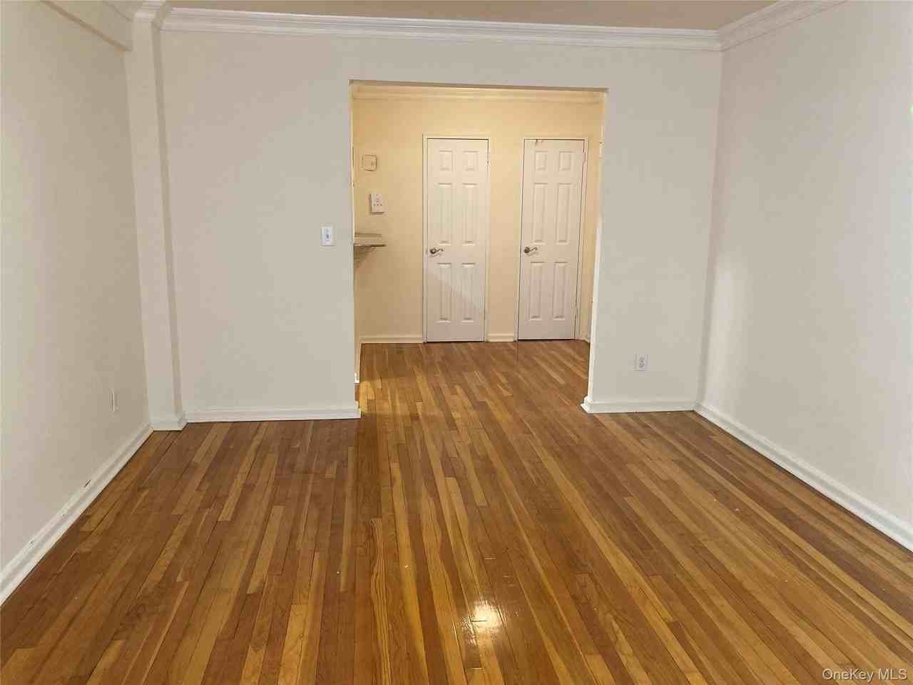 50 S Middle Neck Rd #1C - Photo 3 of 15
