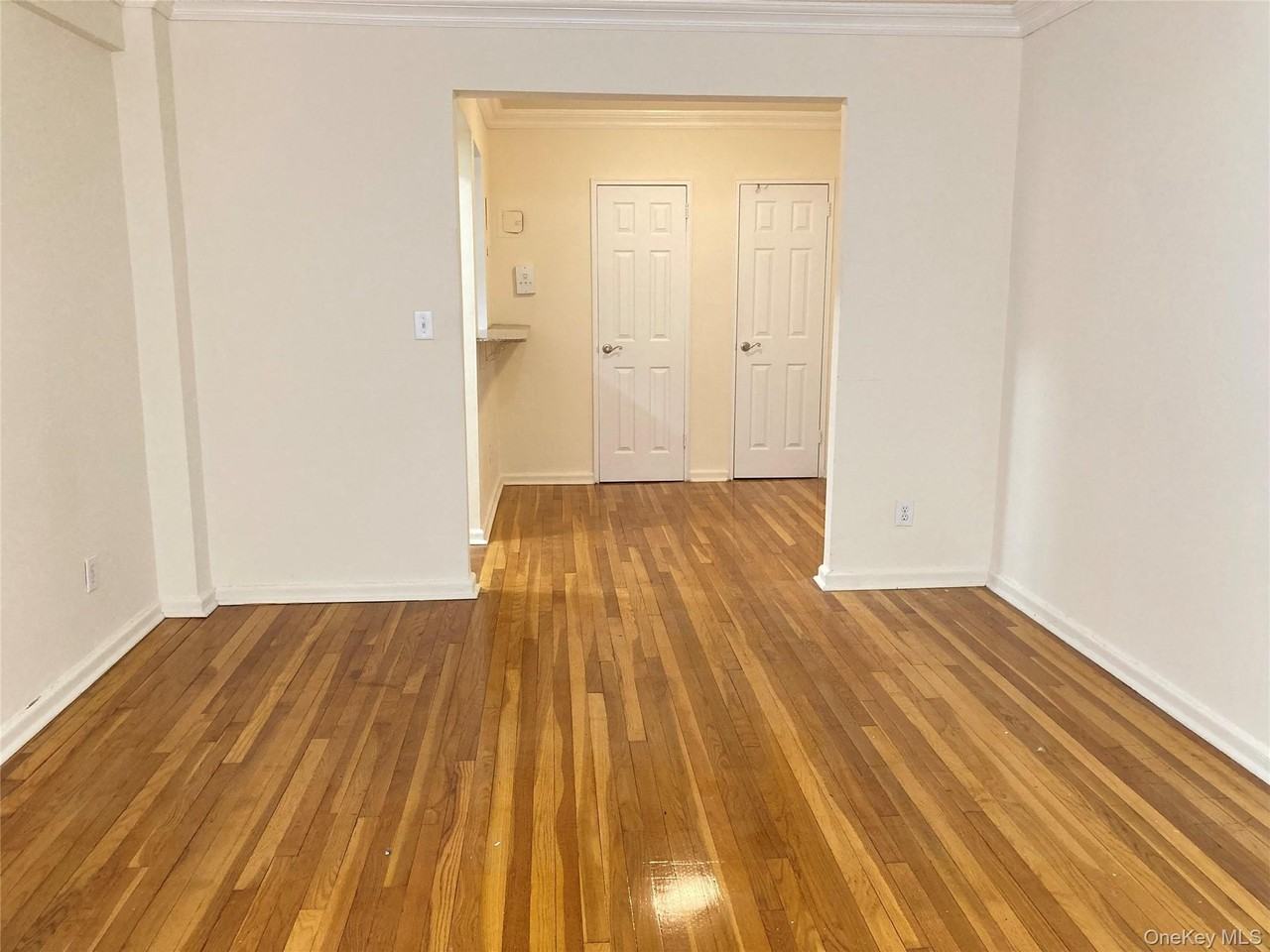 50 S Middle Neck Rd #1C - Photo 4 of 15