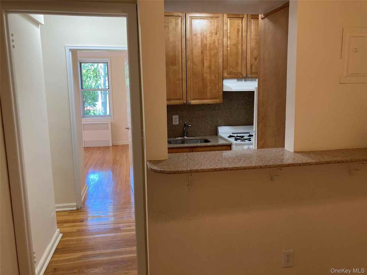 50 S Middle Neck Rd #1C - Photo 5 of 15