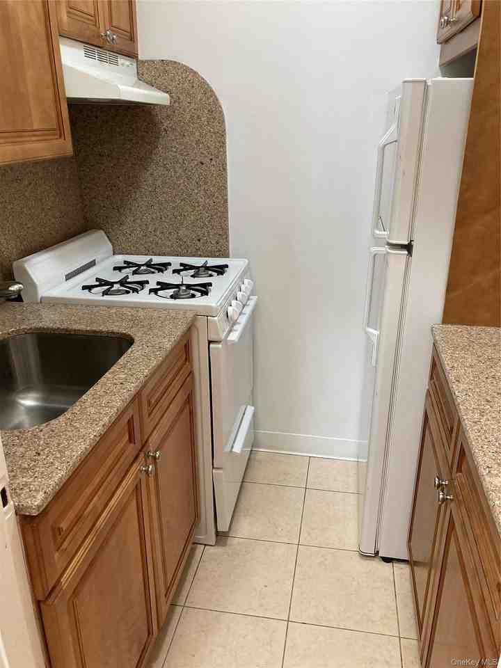 50 S Middle Neck Rd #1C - Photo 6 of 15