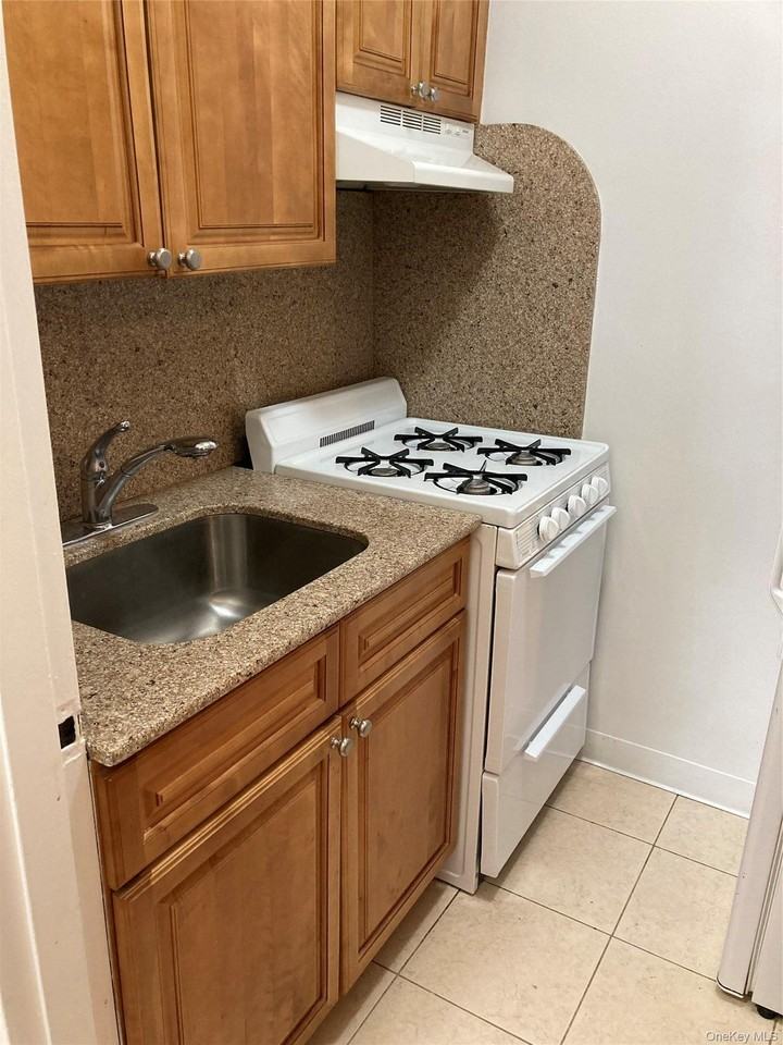 50 S Middle Neck Rd #1C - Photo 7 of 15