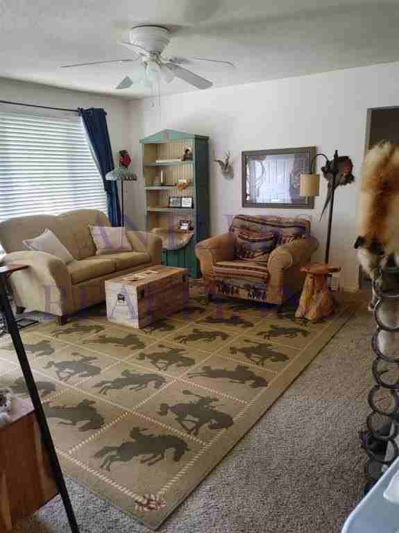 105 Goodturn Dr - Photo 3 of 12