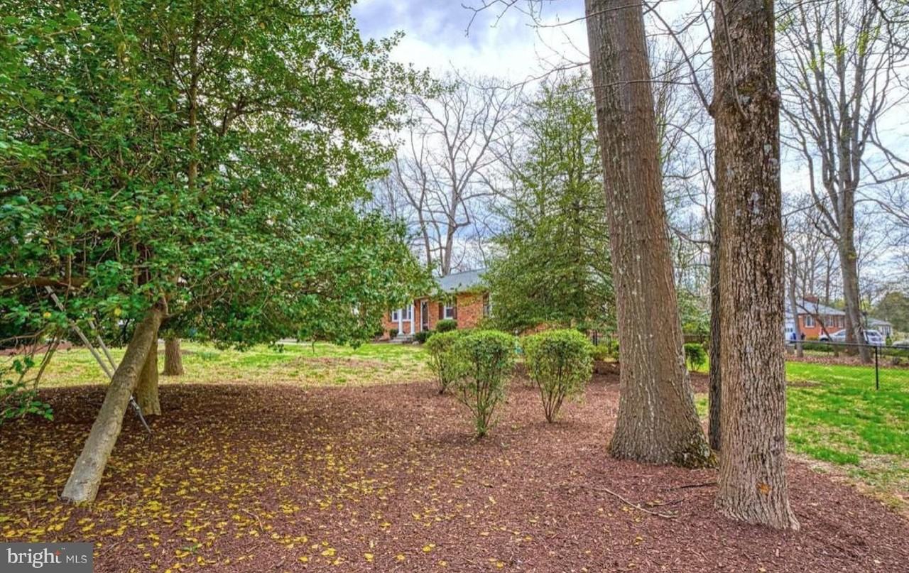 1100 Springvale Rd - Photo 3 of 50
