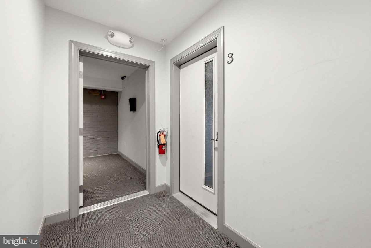 443 Millwood Ave #3 - Photo 3 of 10