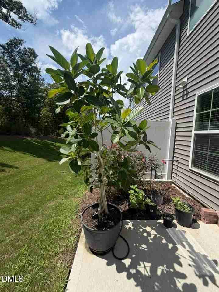 2221 Cherry Top Dr - Photo 6 of 32