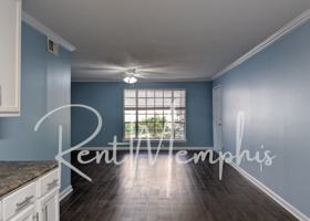 featured image of 358 E Parkway N #4
