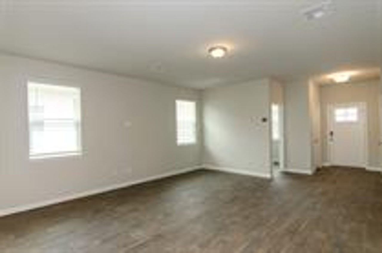 392 Fall Aster Dr - Photo 5 of 30