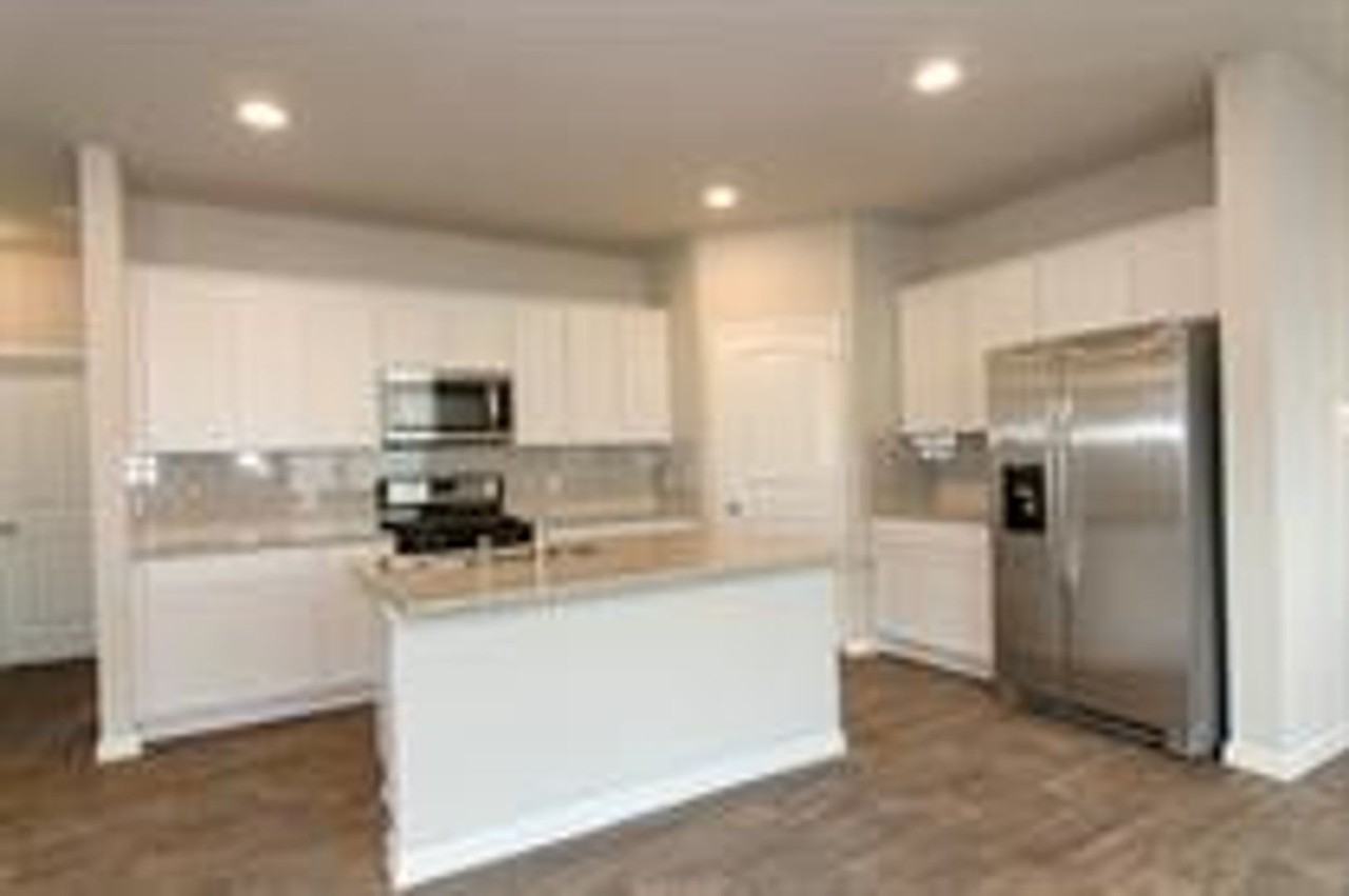 392 Fall Aster Dr - Photo 4 of 30