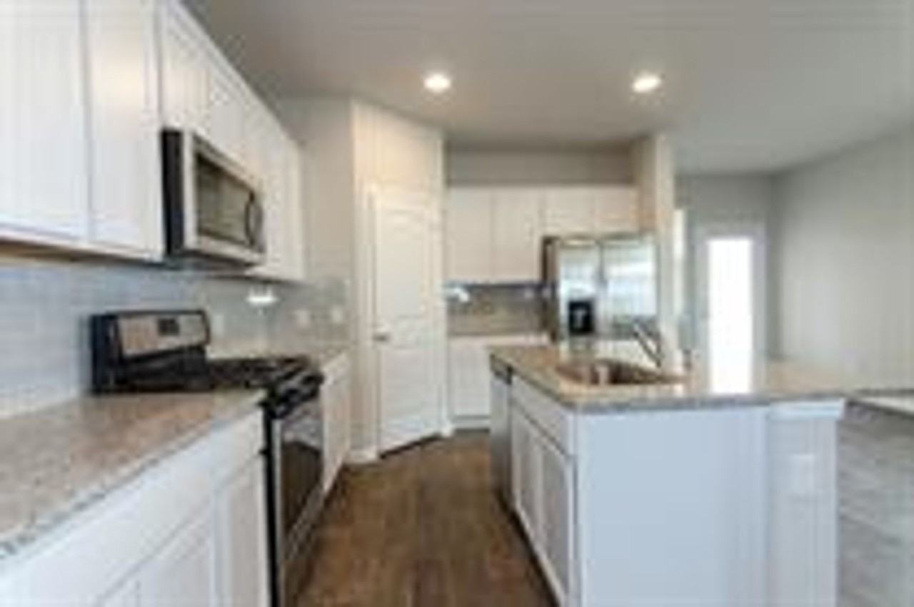 392 Fall Aster Dr - Photo 3 of 30