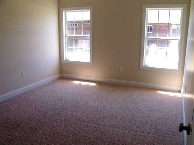 103 Ledbury Cv - Photo 7 of 11