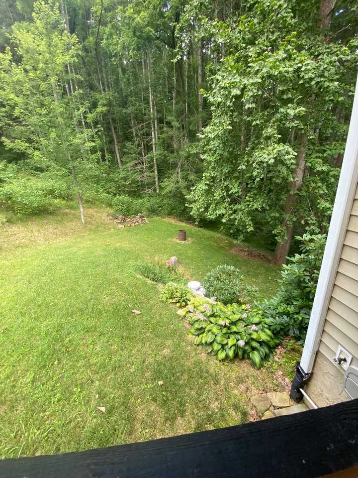 210 Triple Fork Rd - Photo 6 of 23