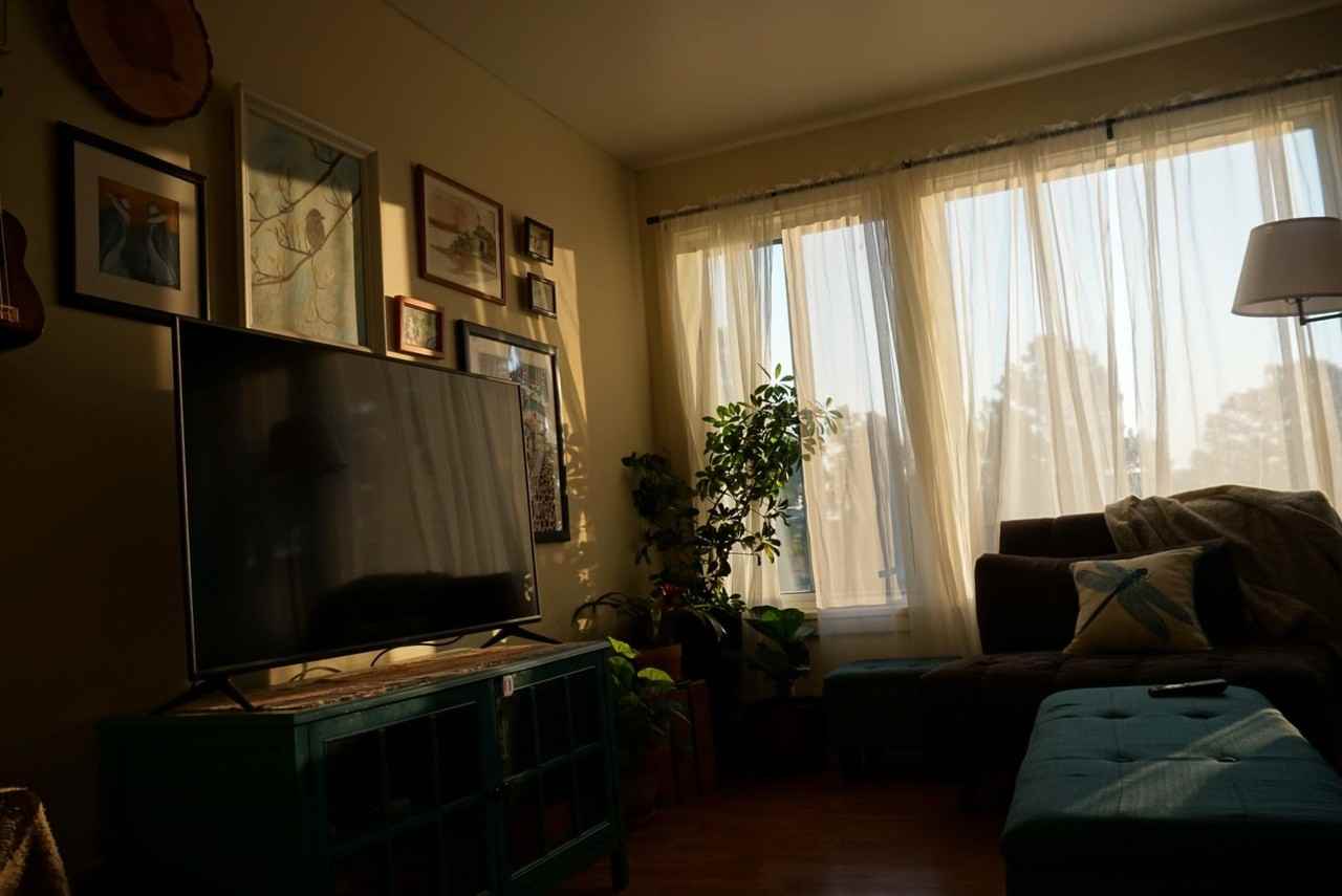 3229 Walnut St - Photo 4 of 18
