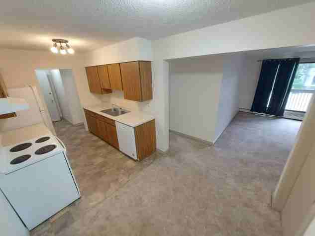 Beautiful 2 Bedroom Unit in Parkvale!! - Photo 3 of 15
