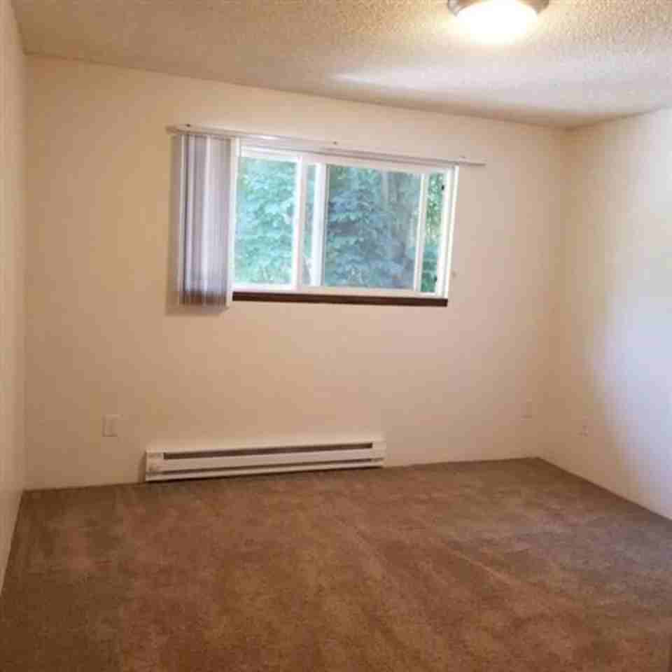 360 S Locust St #376 - Photo 4 of 13