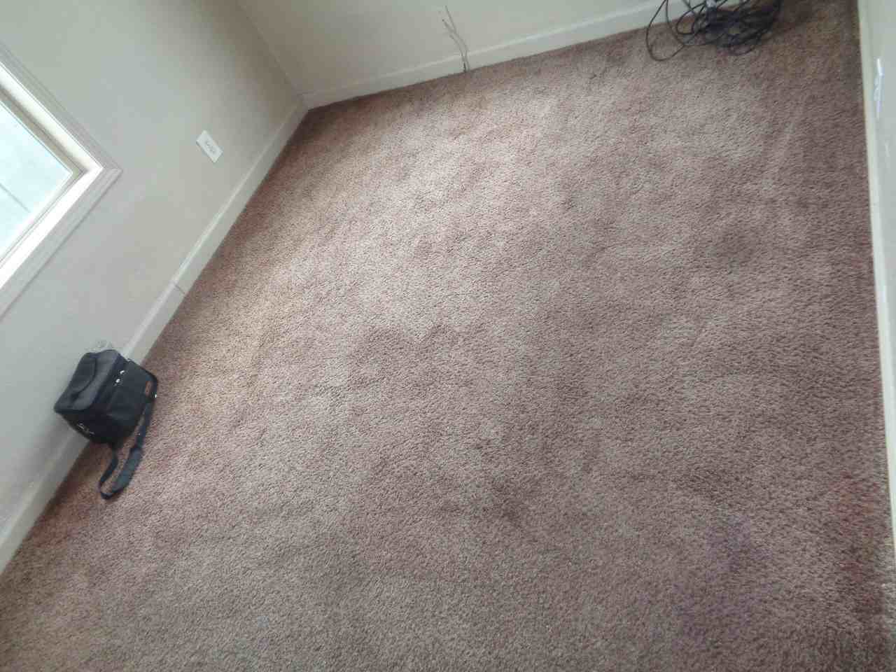 649 Elm St #2 - Photo 6 of 10