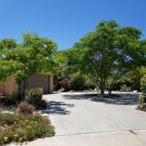 805 Alpine Ct - Photo 1 of 1